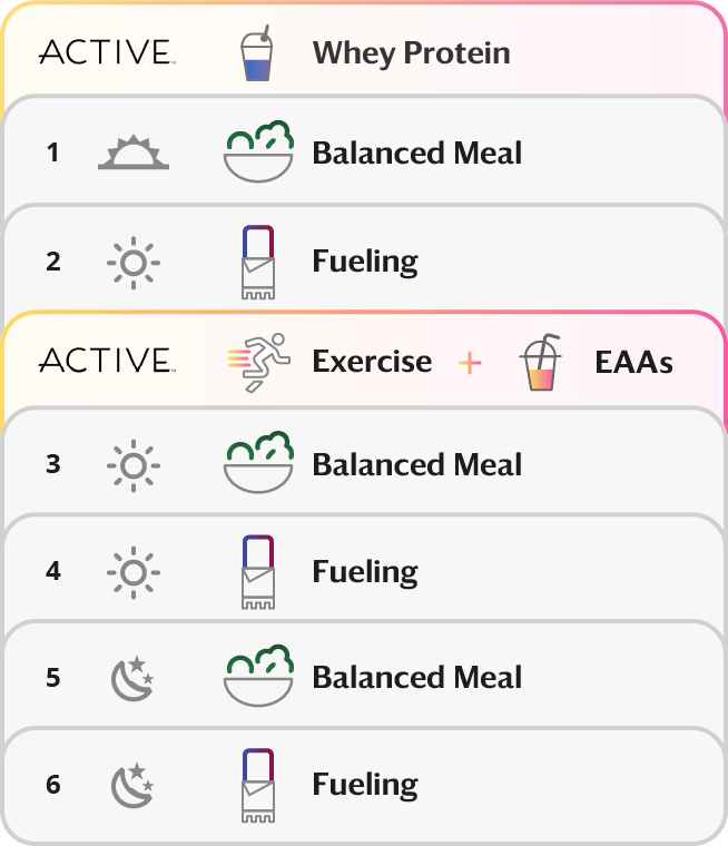 Icons showing the progression of how a typical exercise day would look like while on the 3 & 3 ACTIVE plan. Sunrise, Whey plus Balanced Meal, Fueling, Exercise, EAAs, Balanced Meal, Fueling, Balanced Meal, Fueling, Moon.